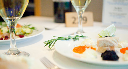 Dinner plate with gourmet meal and a glass of wine